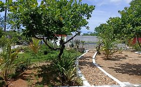Cs Garden